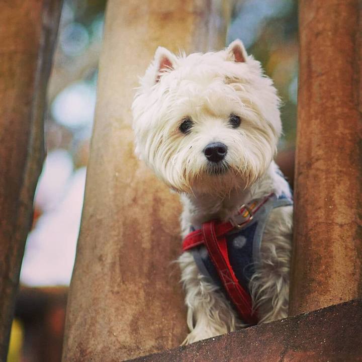 65b7f172 c666 4f0b b68a 337bae5e8b08 1524221341361