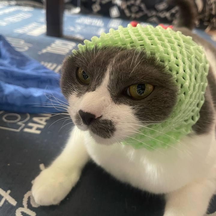 65b808f4 cd54 4ff8 a3c6 0da7e81f48e1 1726728787279