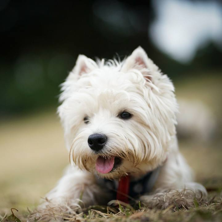 65b82cb5 93c9 482a 808e e864ad33c192 1521446079093