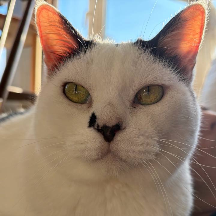 65b83953 745a 488a af29 1153306ada2d 1770767888948