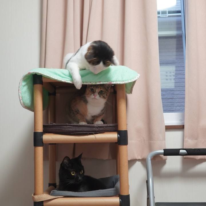 65b856ec 9997 4616 9e18 4883bbeb7355 1602209862507