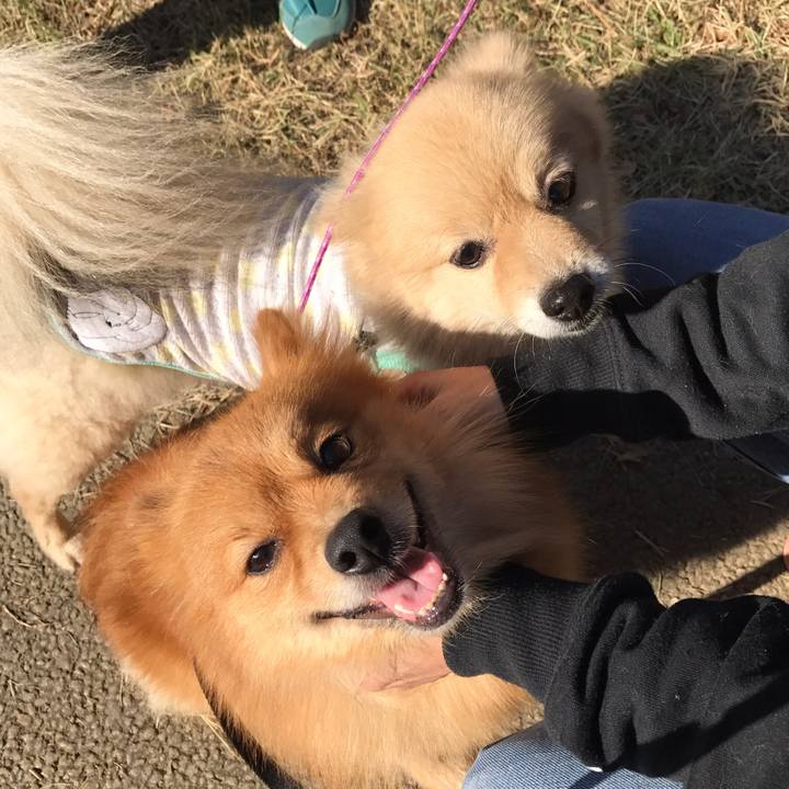 65b8654e 3842 4ab6 9215 6764b233b9f2 1582016202417