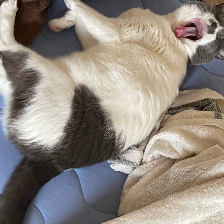 65b87cde 96eb 484a 8c8f f0ec366f6307 1659317182025