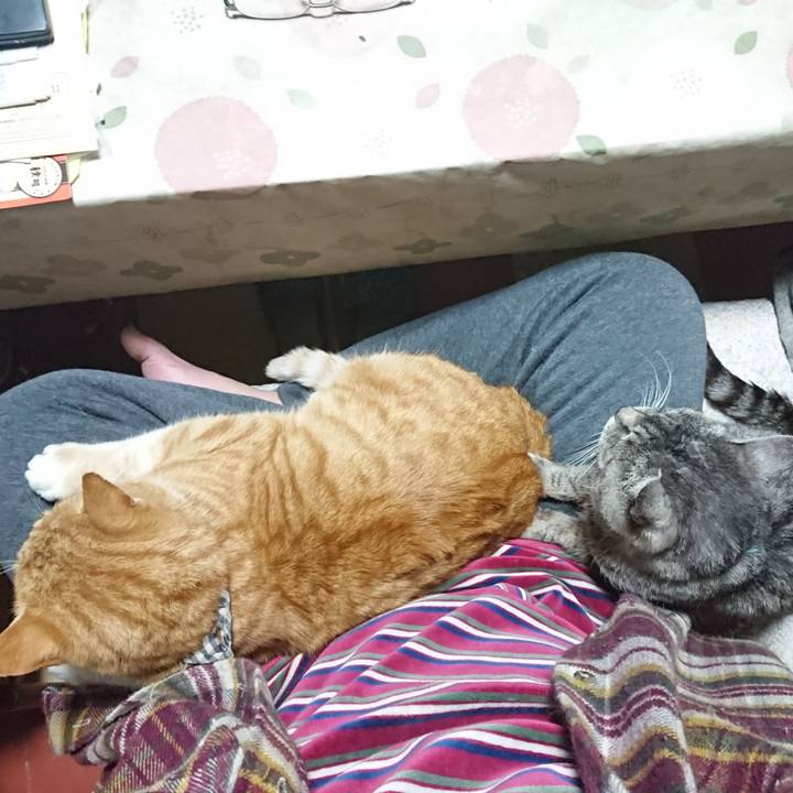 65b89a3f fb3d 4968 a0ac 97587583995c 1574937657049