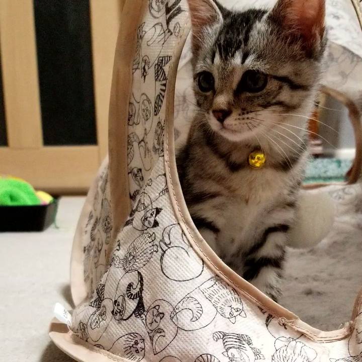 65b8b3e1 e103 4767 b790 a87812903fca 1664019749174