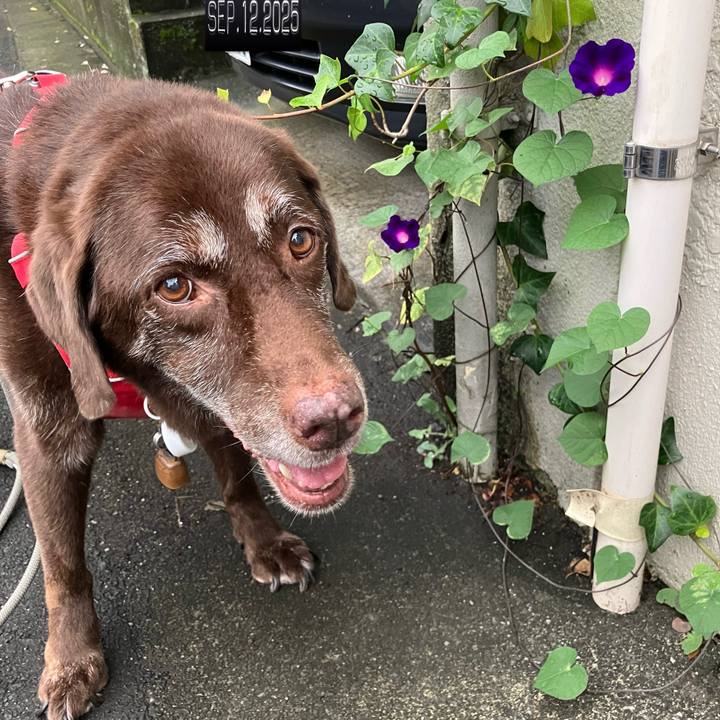 65b8cdfc 1ff6 40ee a967 d8e7eed6eacd 1757628354949