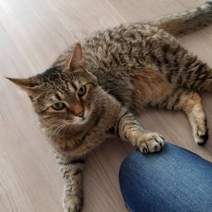 65b8e8a1 a5d1 4cb8 9278 f9d783f2472d 1558305921913