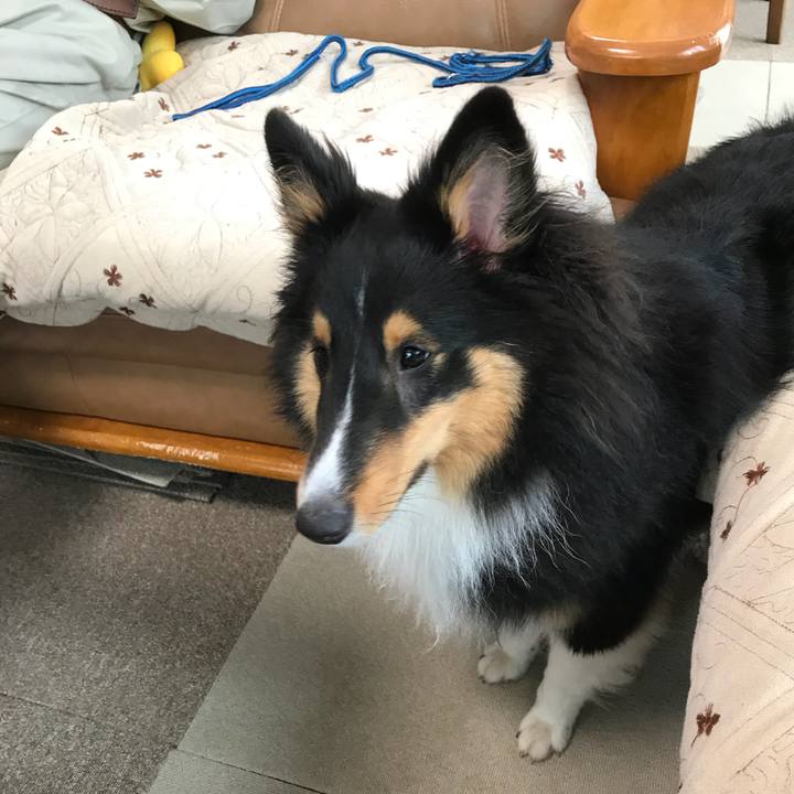 65b90f27 26eb 4a6f ad23 ddb46044f190 1531087284446