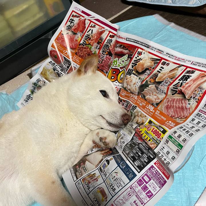 65b922c0 f1d1 48a0 91f9 e51613fadccb 1653664843444