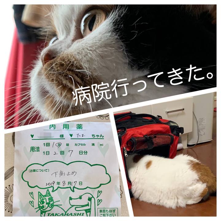 65b94950 b267 4551 a3b5 52984c8cdbb9 1566043900997