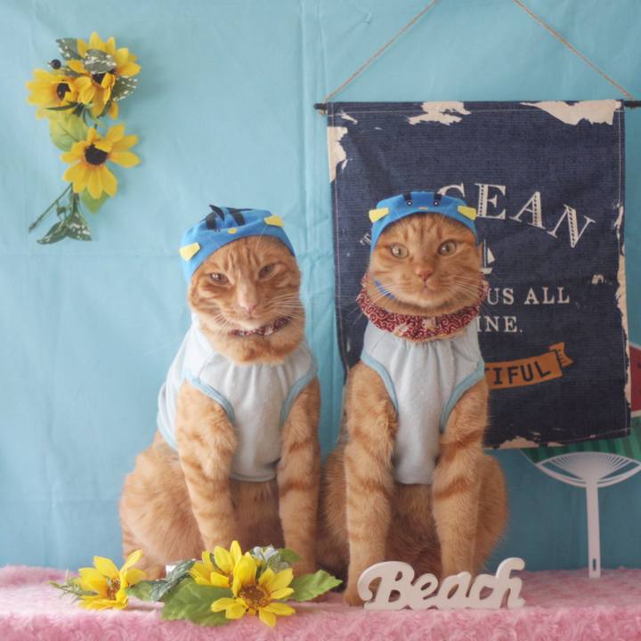 65b9496c da6b 431d 8db2 ab3cb7f9756d 1722995976198