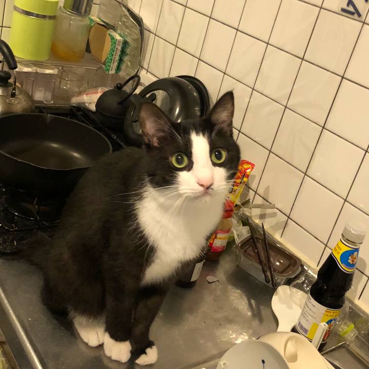 65b9bf89 4592 409a 963e 2a11d8d3db81 1538196174046