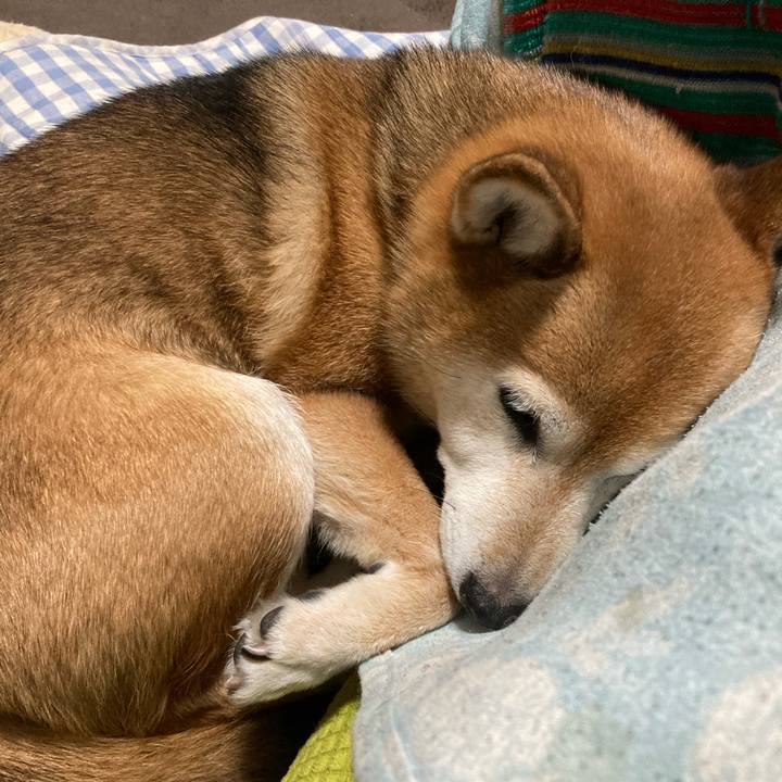 65b9e682 c277 4fc9 9def 4e9ef4fd6b64 1705570247545