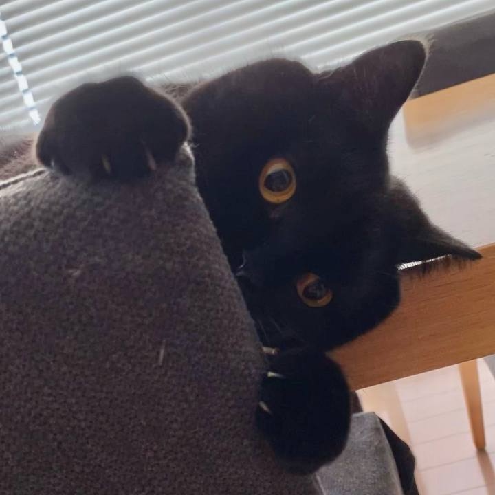 65b9f4ea 471d 493f 9b11 fff79cc8a8cf 1663543927709