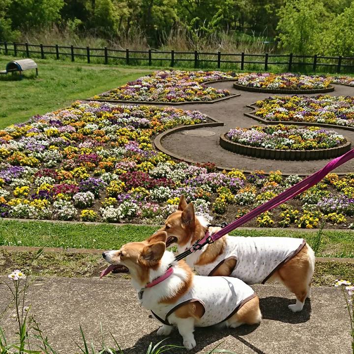 65ba1e11 f2d4 4d12 8b34 291e6ef3870e 1556677570680