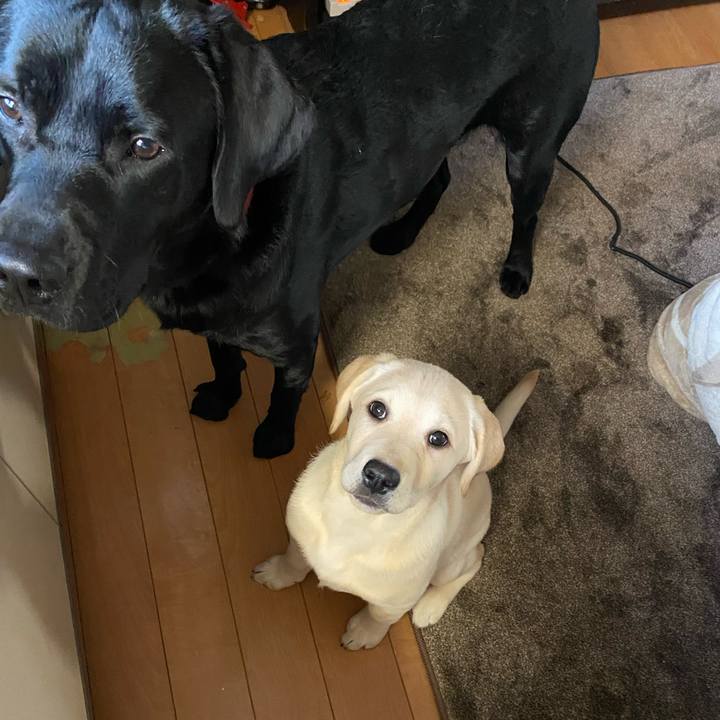 65ba4a4d a1f4 41f7 8a29 97fd49152c38 1612823769309