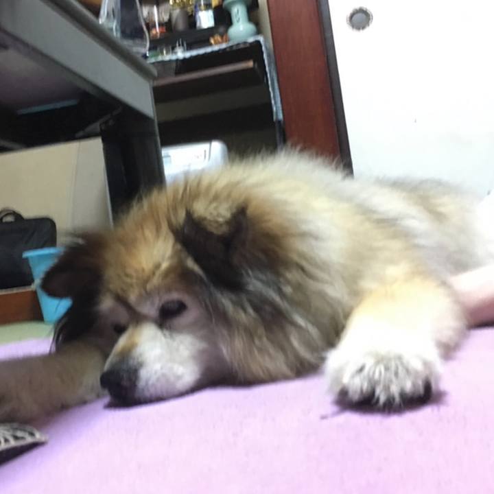 65ba4f6c 2966 4758 99c0 70a47275985c 1590304567731