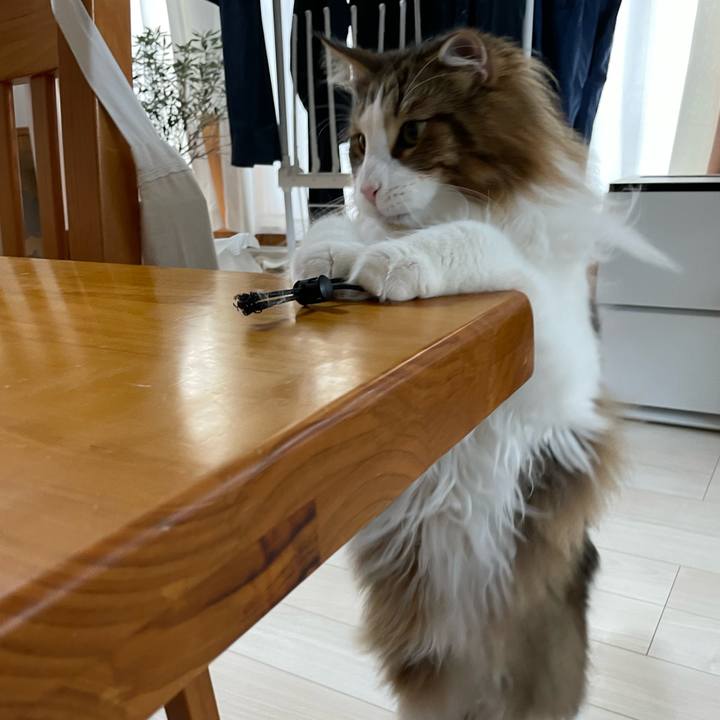 65ba54cd baa6 4223 9002 4cd7c05d1fc8 1682459429768