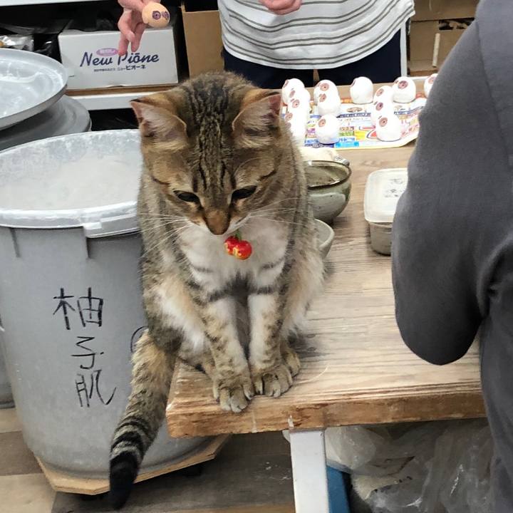 65ba5d99 8e3b 48be 819e 9d76878de455 1652446360326