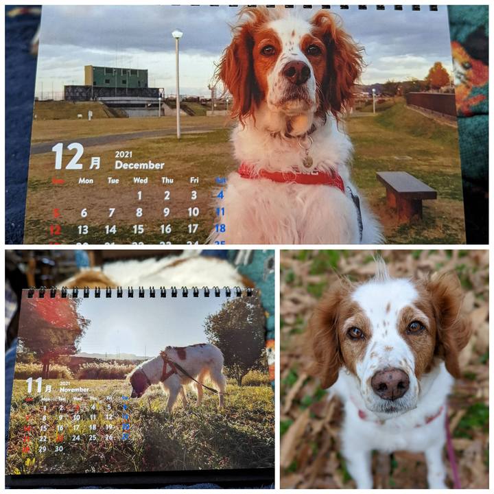 65baceb1 ce20 44fb b330 9a8623d0085f 1639786580353