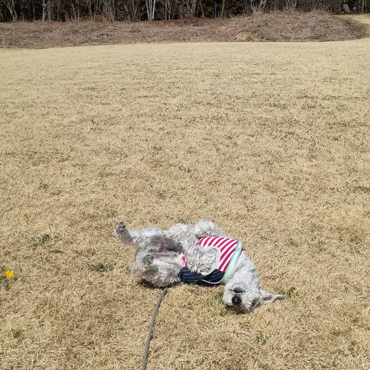 65bad0b0 0eaf 4373 8020 9c6820a067a6 1773492761922