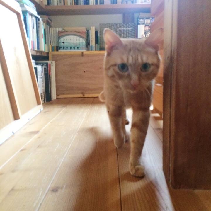 65bad3a2 bde1 4a53 b75f dfec0b87f82c 1507763337413