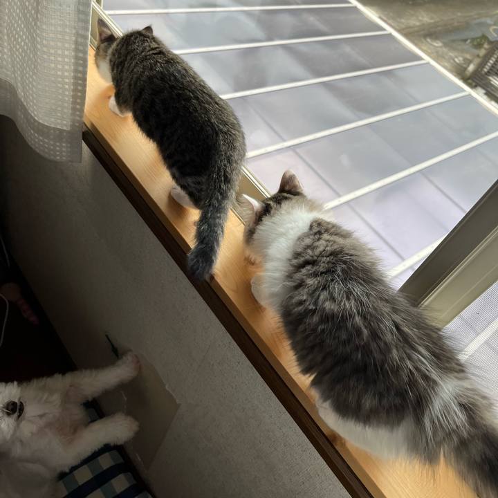 65bae17a 041e 4497 8911 fafe9dda8da9 1688870053979