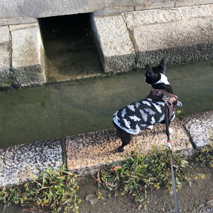 65bb233b a933 47ef 93f3 a0ee10d52376 1523494392706