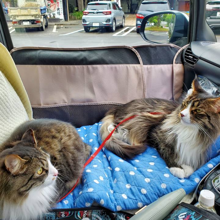 65bb5152 6ea9 4f3c b674 00a85ea412eb 1714623464116