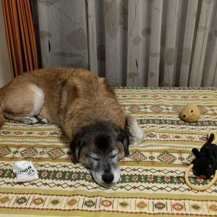 65bbd116 728a 4b75 b705 35f9fa4dcb03 1536614214419