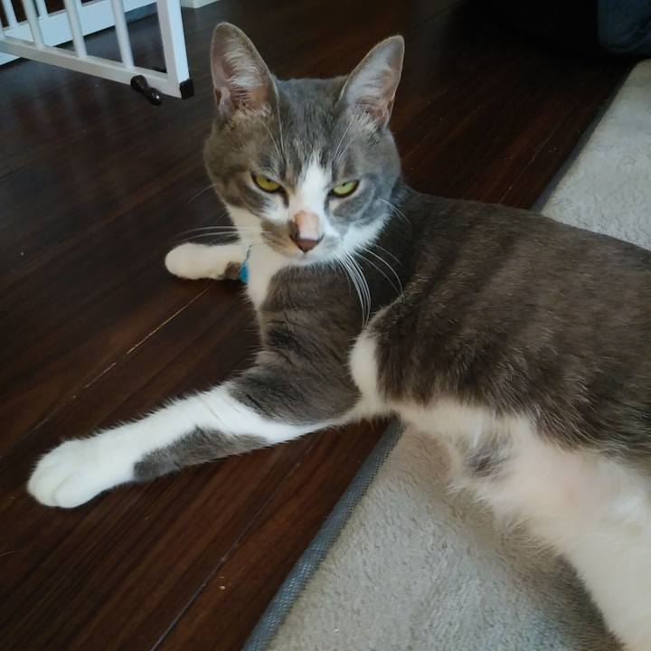 65bbf342 402f 491a a67f 843a740e3d47 1593564745942