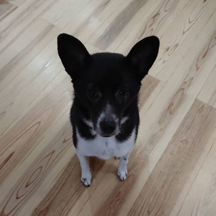 65bc2e8a c99b 4000 adfa 226fd7132d5d 1620036910262