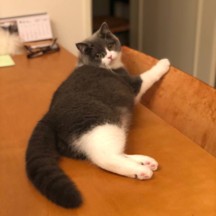 65bc5628 6a8b 48cb afac 9ae9842848cf 1519209385119