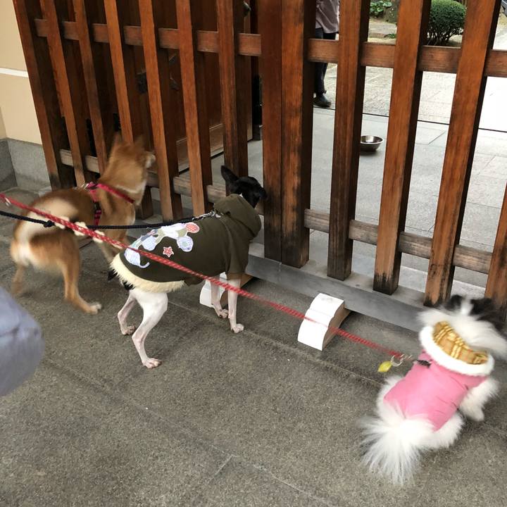 65bc706c 189f 4e9c b805 d250e9febd26 1515227466614