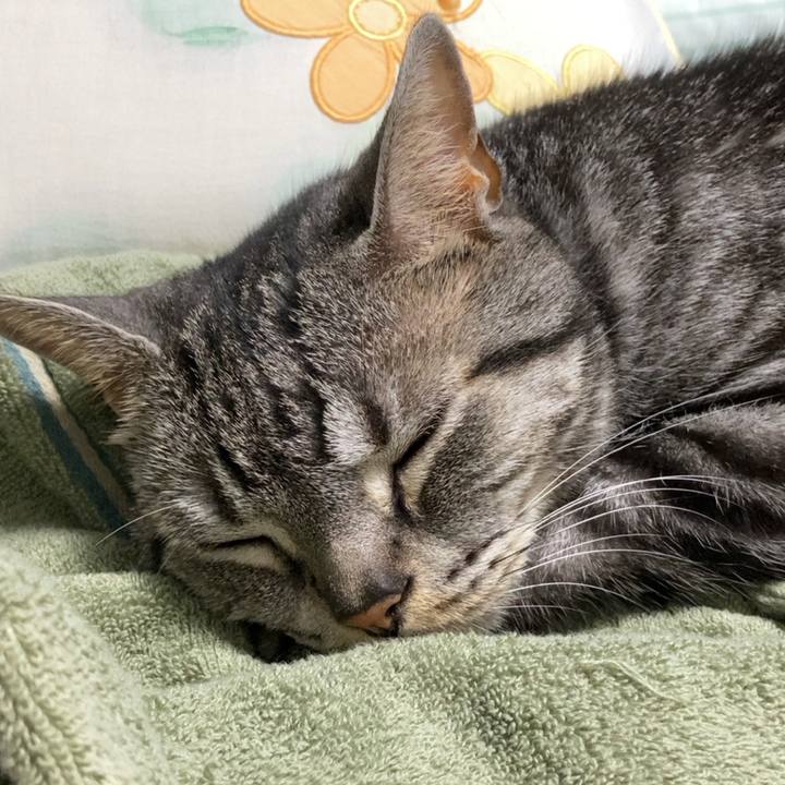 65bc7226 3a7b 4335 9aeb 62baef287375 1658927092730