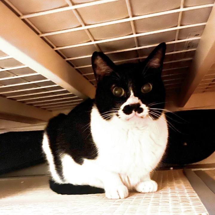 65bca534 69e9 4c05 aae1 f22cd23306b6 1680269178339