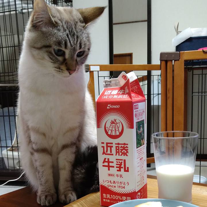 65bcb549 35d8 4a26 8089 9ed7c6172b36 1613384199769