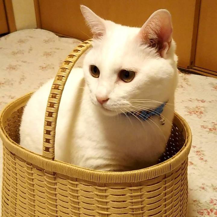 65bcdf7f 4340 450d 939f a385792b633b 1629811215447