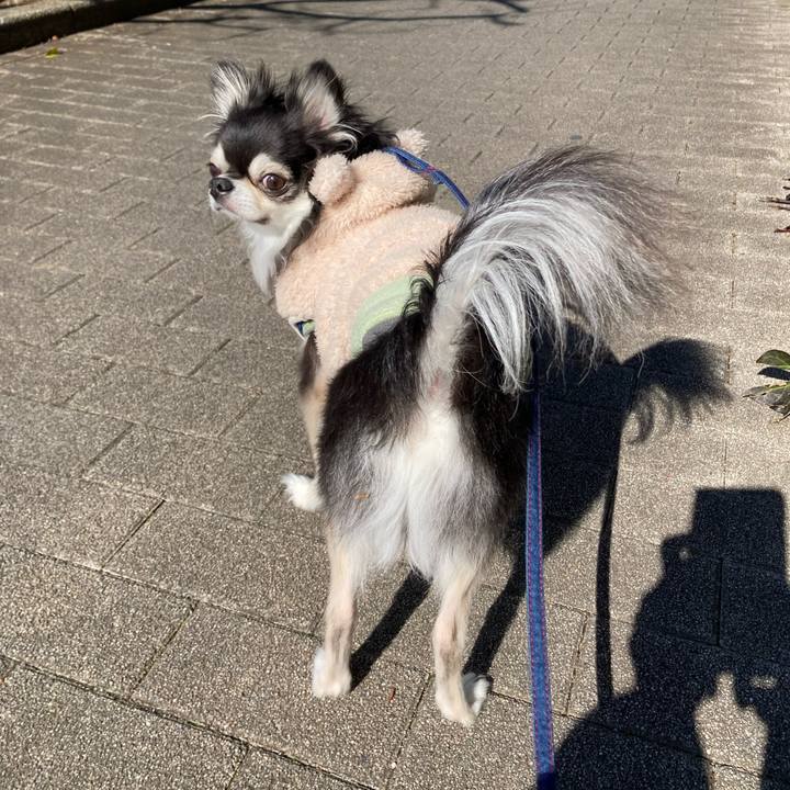 65bd76b0 3976 4a14 b111 b761338e0bfe 1707720869845