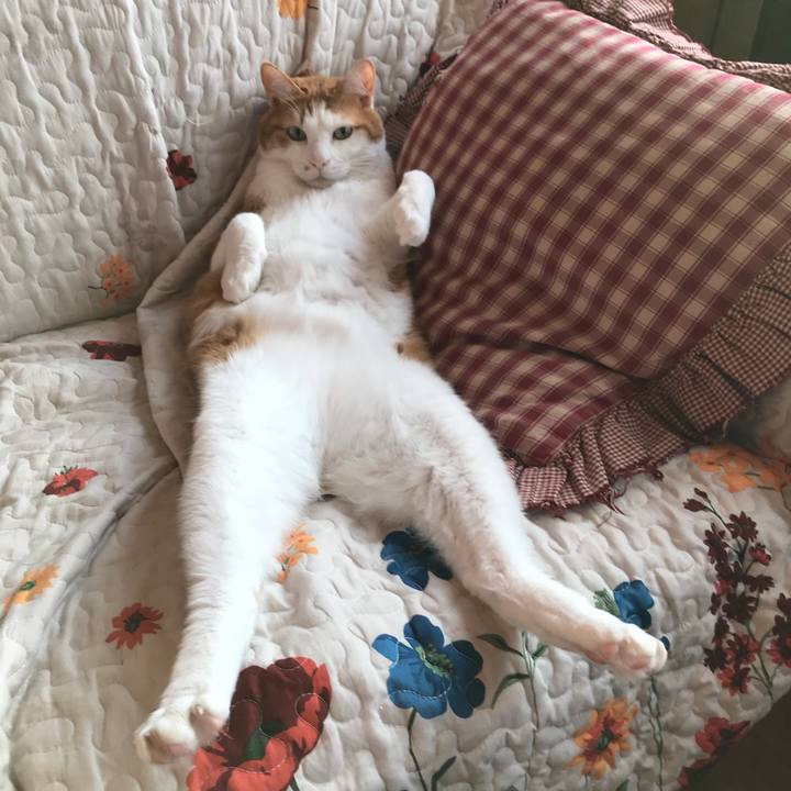 65bd838e 8fdd 4284 b17b 352856b9dc3a 1542105329920