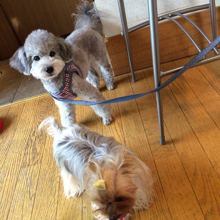 65bddabb cbff 47fa 8ef4 a01841d1b72d 1751415438561