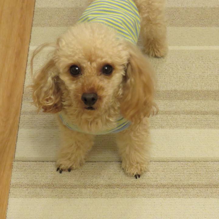 65bdf1e7 6fc1 4a59 ad92 6575ca32f461 1549487128584