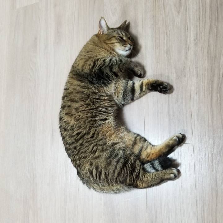 65be1e03 cd89 485d a26b 4a56276f48e3 1551698897282