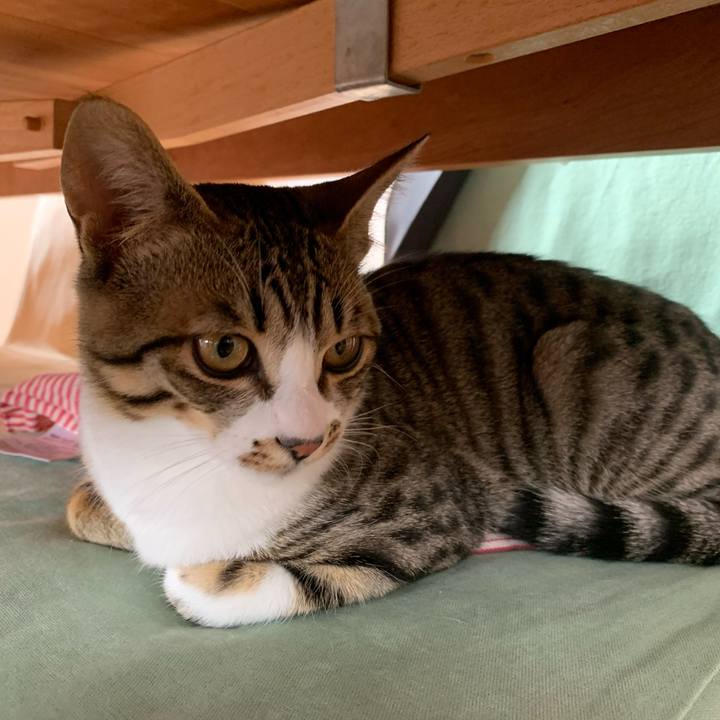 65be46ff a9d9 4d7e 91d4 ed854b034769 1586653542548