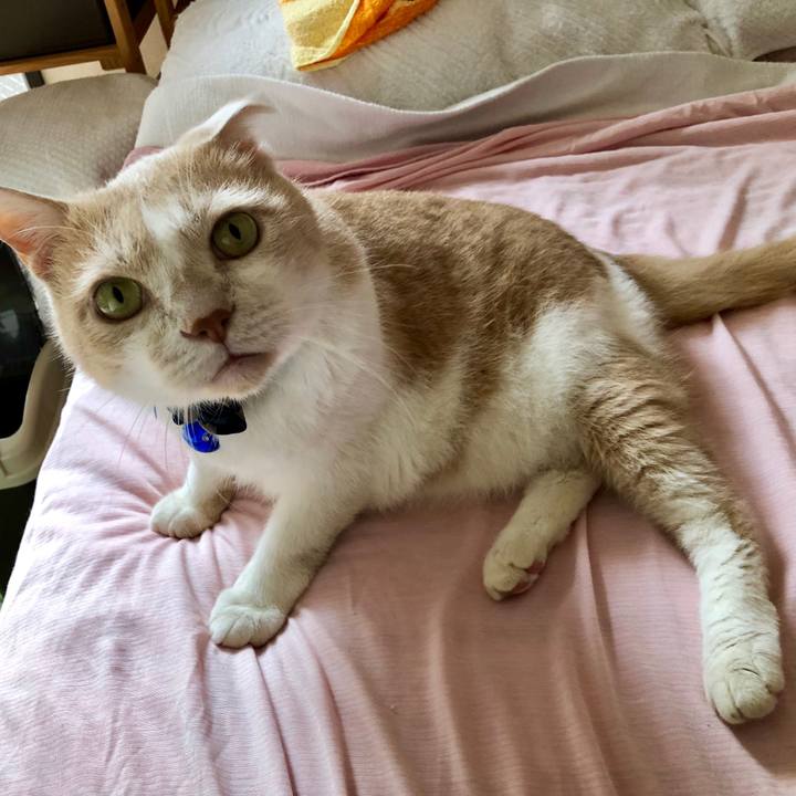 65be5fab 54e6 4fd4 a718 3f4aff3f04fb 1566343470968