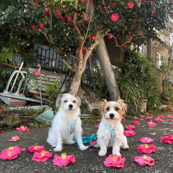 65be6560 06c1 47dc 8d39 ab796f2cefbf 1774668990155