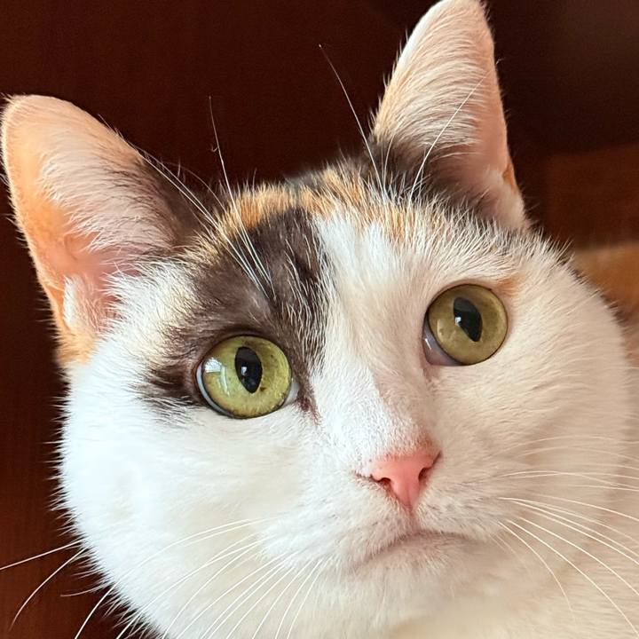 65be7082 0ff2 4e3d b9d1 9b3cb85ebfc3 1739842143986