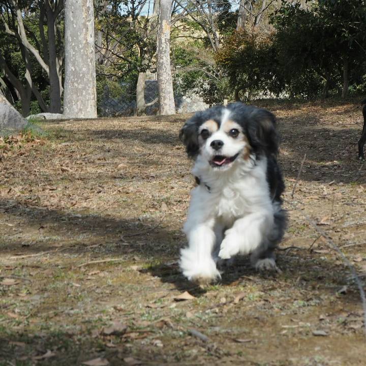 65be8aeb 8422 4730 9f93 acc356bb9160 1518408052173