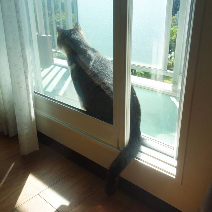 65be9bd7 b9ea 42a7 b350 3d9d54cfa2c9 1757980932079