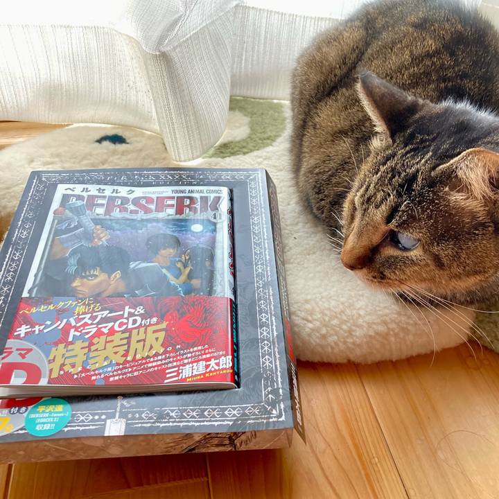 65befeb4 c942 4513 b07d 09a3950d0e3e 1640497024612